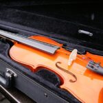 violin