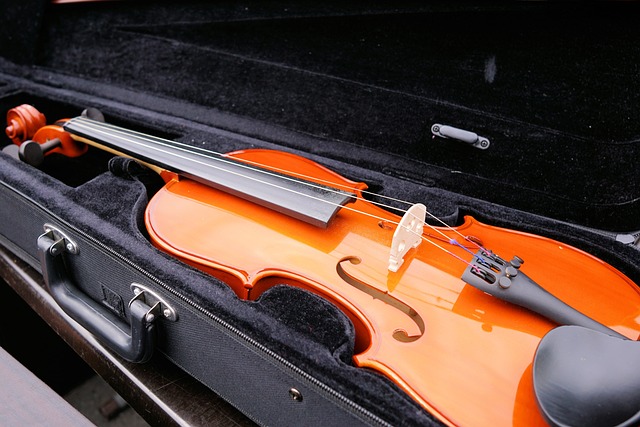 violin