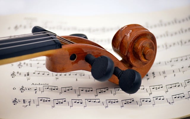 violin